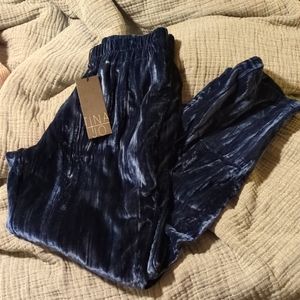 Velvet navy XS pants